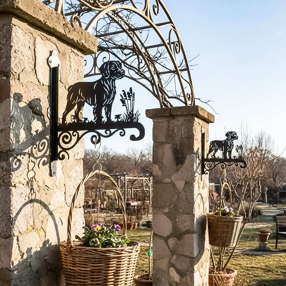 Brittany metal hanging basket bracket mounted on outdoor wall for plant decoration