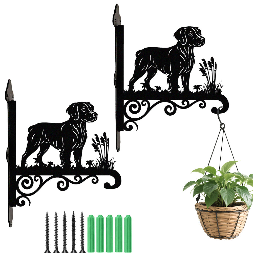 Brittany metal hanging basket bracket mounted on outdoor wall for plant decoration