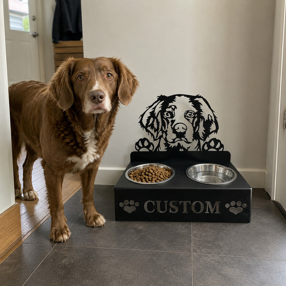 Personalized brittany spaniel metal dog bowl stand with custom name cutout and two removable feeding bowls