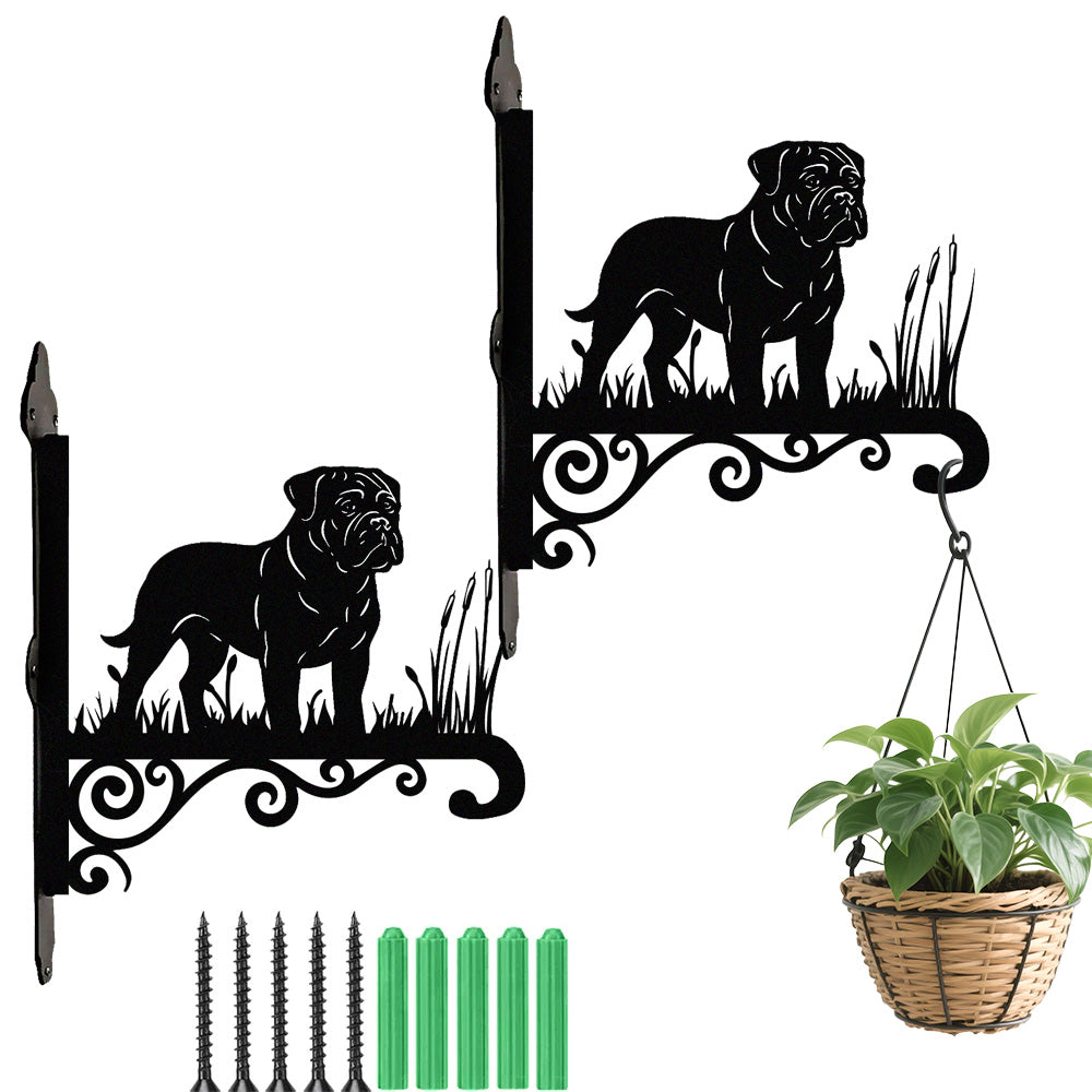 Bullmastiff metal hanging basket bracket mounted on outdoor wall for plant decoration