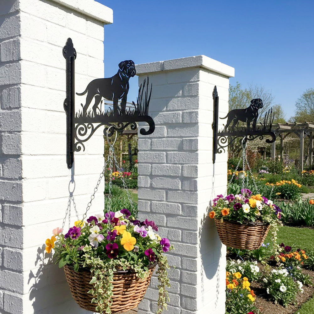 Bullmastiff metal hanging basket bracket mounted on outdoor wall for plant decoration