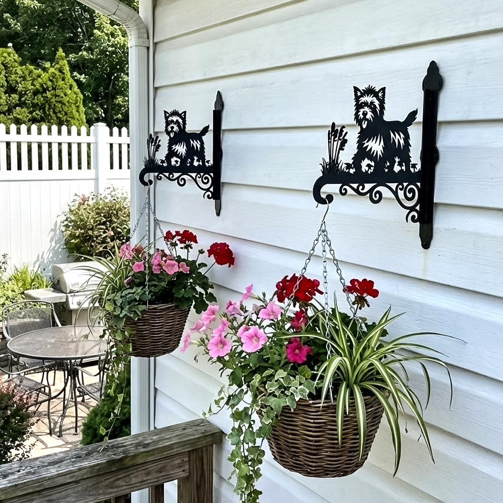 Cairn terrier metal hanging basket bracket mounted on outdoor wall for plant decoration