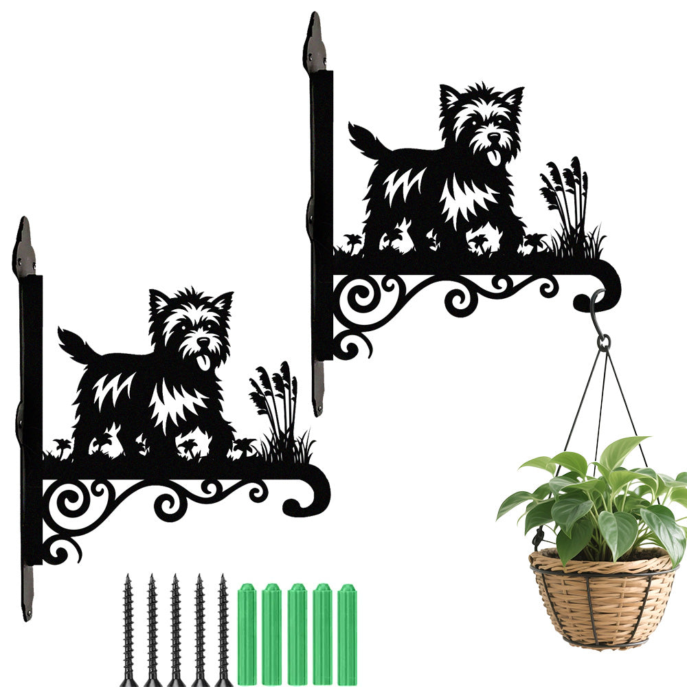 Cairn terrier metal hanging basket bracket mounted on outdoor wall for plant decoration
