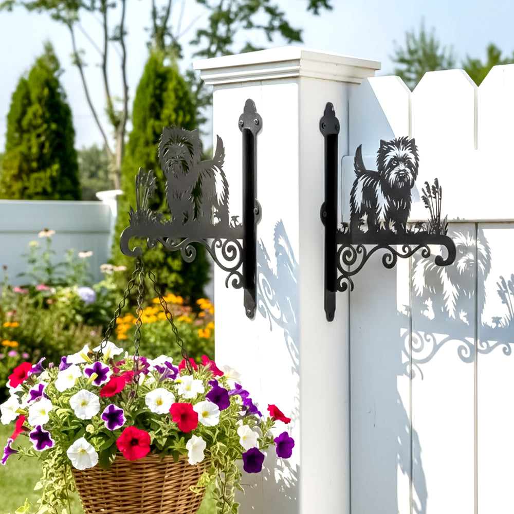 Cairn terrier metal hanging basket bracket mounted on outdoor wall for plant decoration