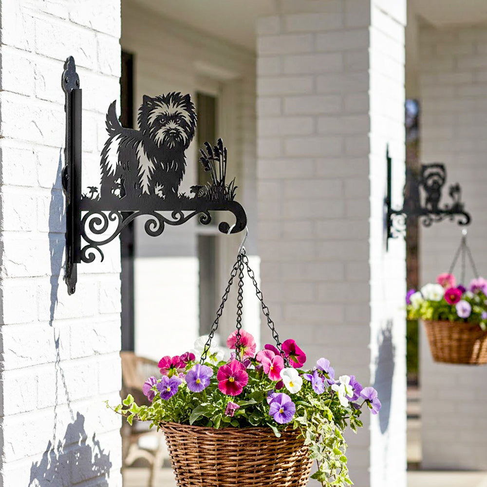 Cairn terrier metal hanging basket bracket mounted on outdoor wall for plant decoration