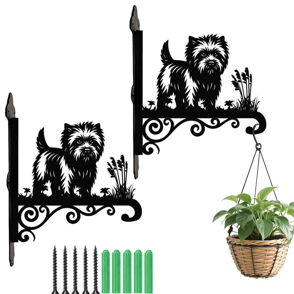 Cairn terrier metal hanging basket bracket mounted on outdoor wall for plant decoration