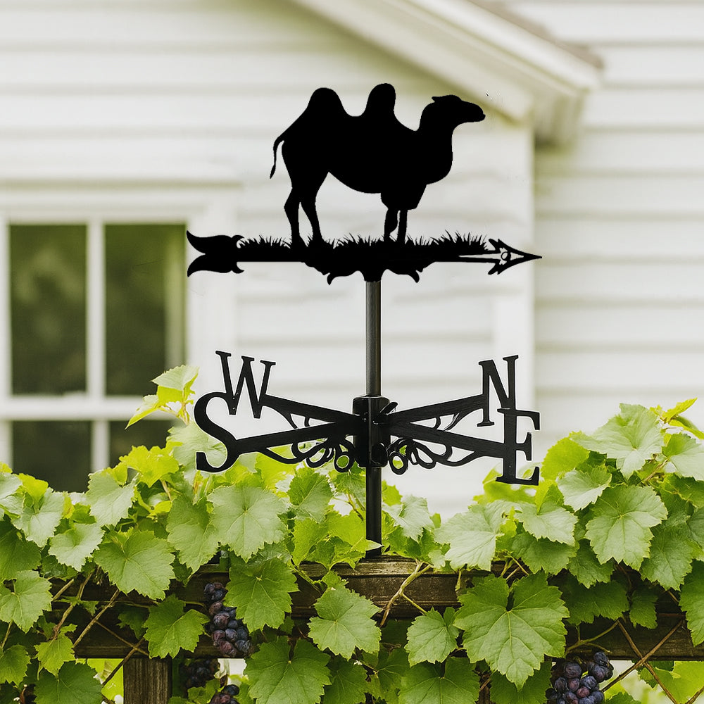 Camel metal weather vane with directional arrows and mounting rod, outdoor roof and garden decoration
