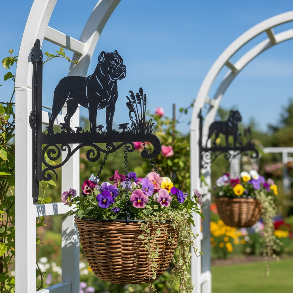 Cane corso metal hanging basket bracket mounted on outdoor wall for plant decoration