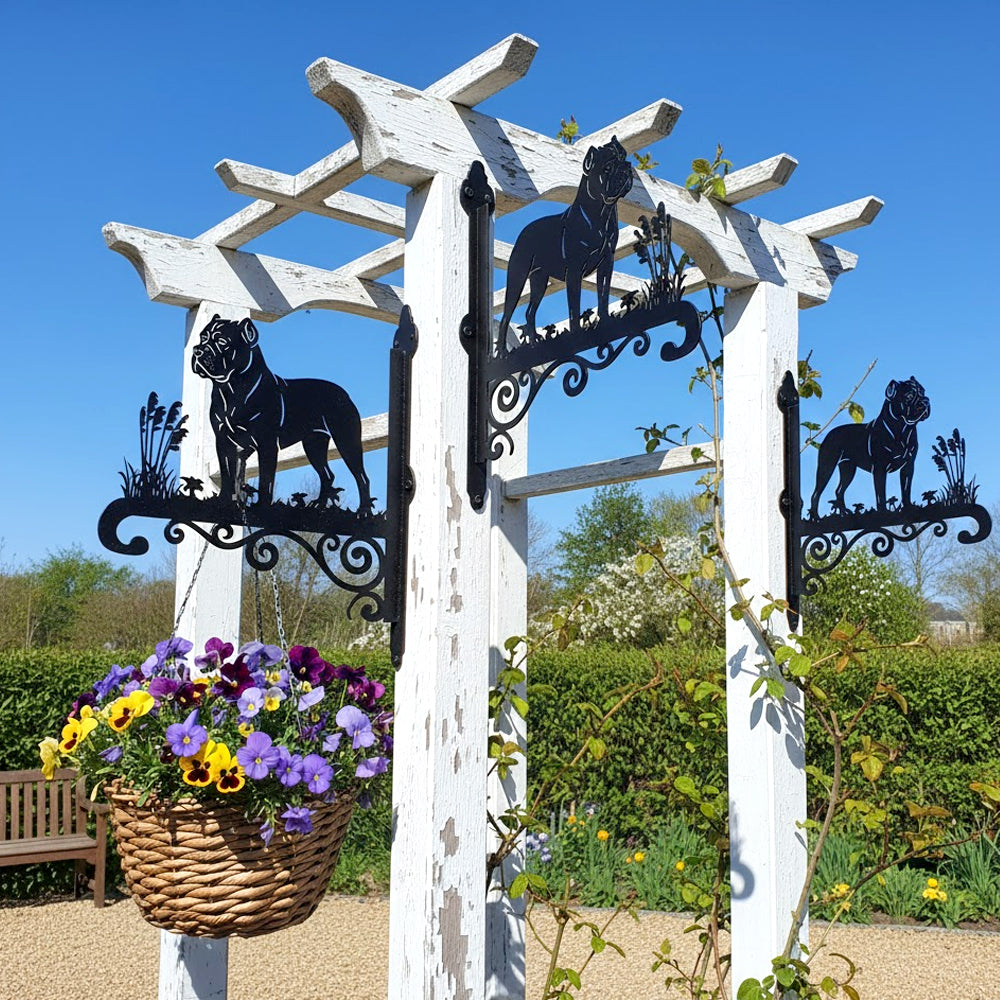 Cane corso metal hanging basket bracket mounted on outdoor wall for plant decoration