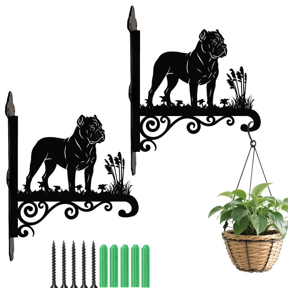 Cane corso metal hanging basket bracket mounted on outdoor wall for plant decoration