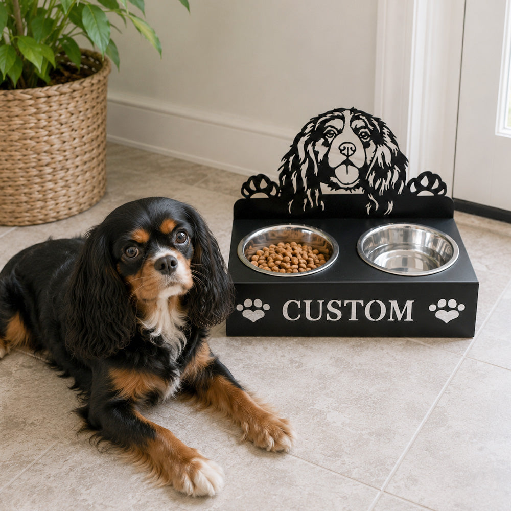 Personalized cavalier king charles metal dog bowl stand with custom name cutout and two removable feeding bowls
