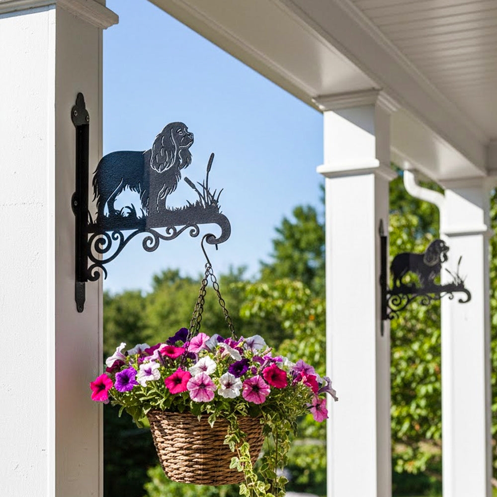 Cavalier king charles spaniel metal hanging basket bracket mounted on outdoor wall for plant decoration