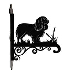 Cavalier king charles spaniel metal hanging basket bracket mounted on outdoor wall for plant decoration