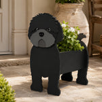 Black cavapoo-shaped dog planter placed in front of the courtyard gate is planted with flowers