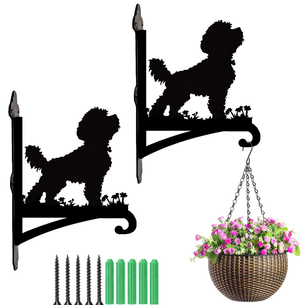Cavapoo metal hanging basket bracket mounted on outdoor wall for plant decoration