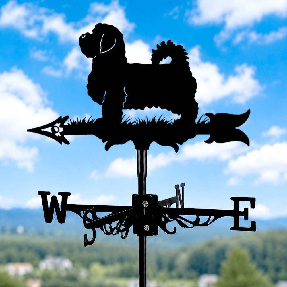 Cavapoo metal weather vane with directional arrows and mounting rod, outdoor roof and garden decoration