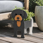 Cavoodle dog planter filled with fresh flowers is placed in the garden