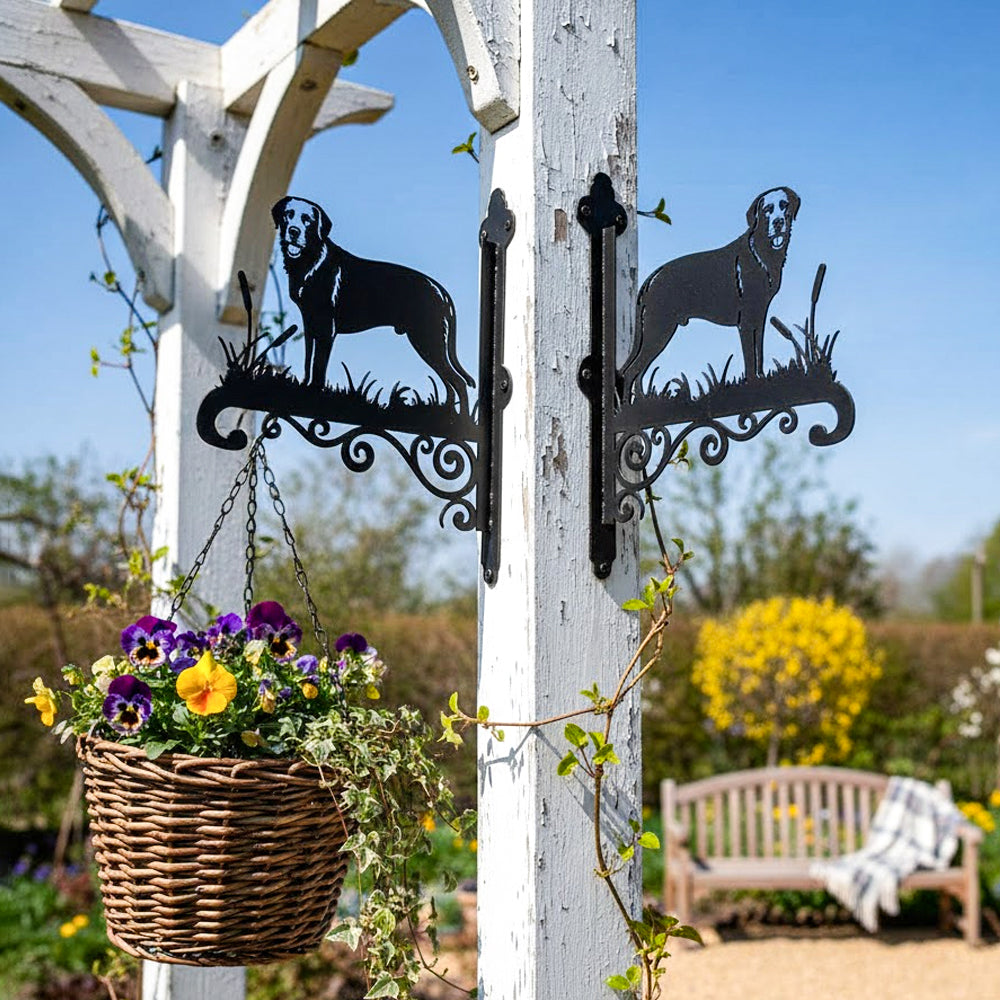 Chesapeake bay retriever metal hanging basket bracket mounted on outdoor wall for plant decoration
