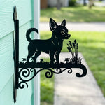 Chihuahua metal hanging basket bracket mounted on outdoor wall for plant decoration