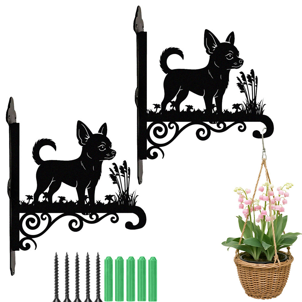 Chihuahua metal hanging basket bracket mounted on outdoor wall for plant decoration