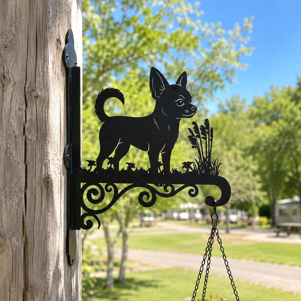 Chihuahua metal hanging basket bracket mounted on outdoor wall for plant decoration