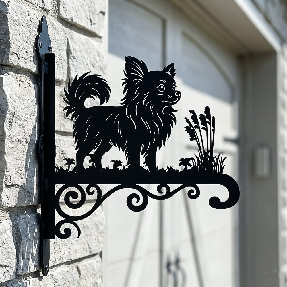 Chihuahua metal hanging basket bracket mounted on outdoor wall for plant decoration