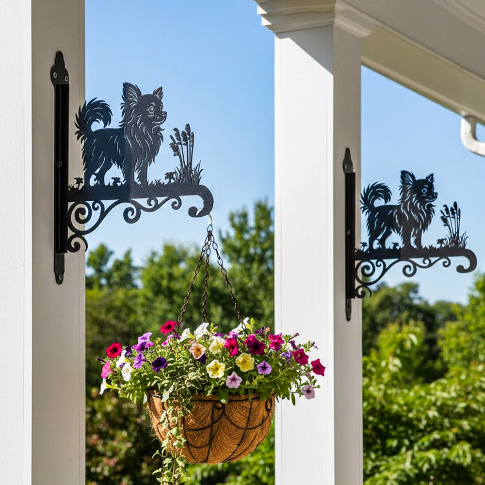 Chihuahua metal hanging basket bracket mounted on outdoor wall for plant decoration