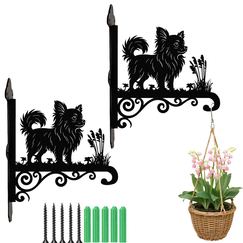 Chihuahua metal hanging basket bracket mounted on outdoor wall for plant decoration
