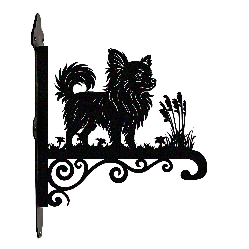 Chihuahua metal hanging basket bracket mounted on outdoor wall for plant decoration