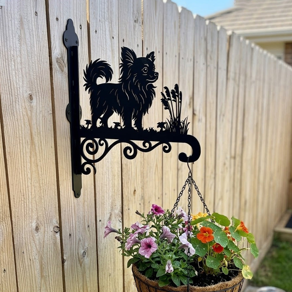 Chihuahua metal hanging basket bracket mounted on outdoor wall for plant decoration