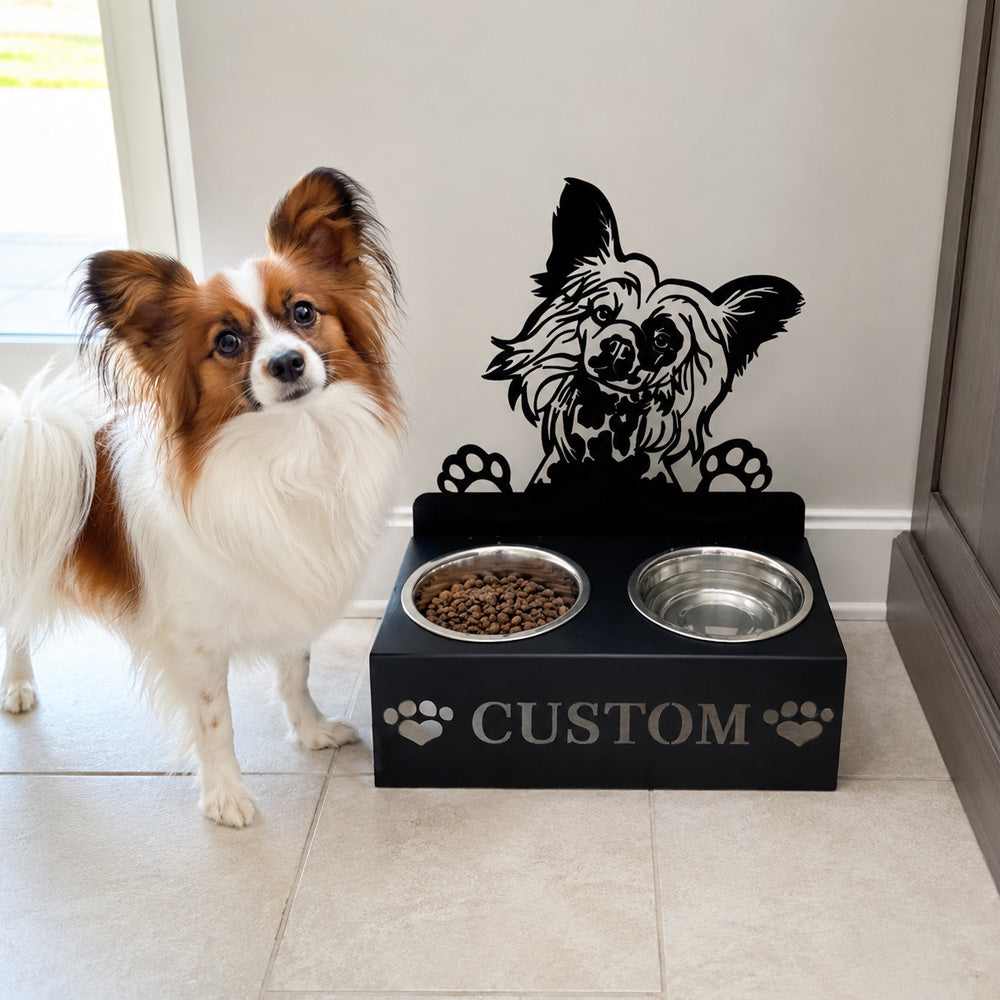 Personalized chinese crested dog metal dog bowl stand with custom name cutout and two removable feeding bowls