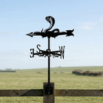 Cobra metal weather vane with directional arrows and mounting rod, outdoor roof and garden decoration