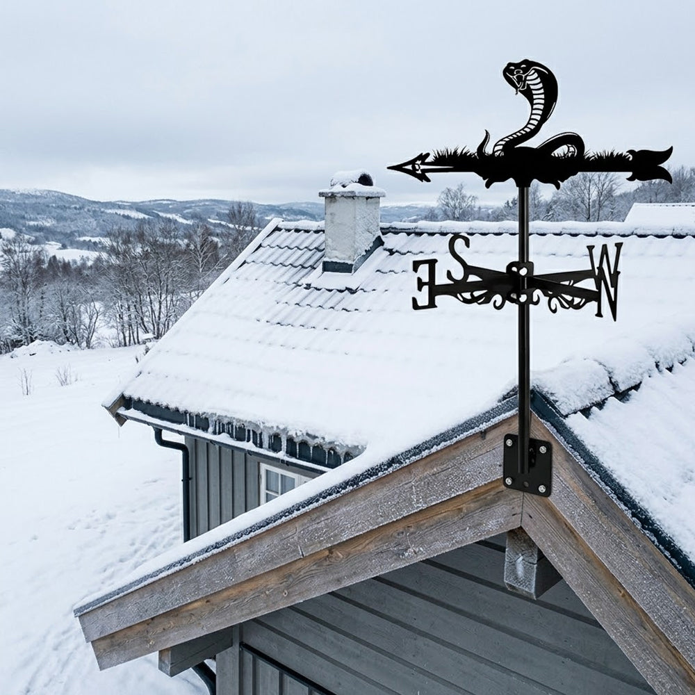 Cobra metal weather vane with directional arrows and mounting rod, outdoor roof and garden decoration