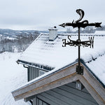Cobra metal weather vane with directional arrows and mounting rod, outdoor roof and garden decoration