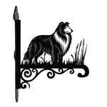 Collie metal hanging basket bracket mounted on outdoor wall for plant decoration
