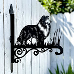 Collie metal hanging basket bracket mounted on outdoor wall for plant decoration