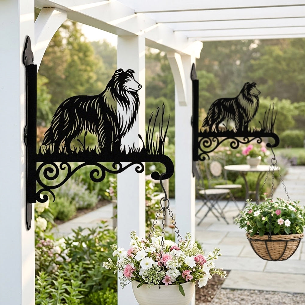 Collie metal hanging basket bracket mounted on outdoor wall for plant decoration