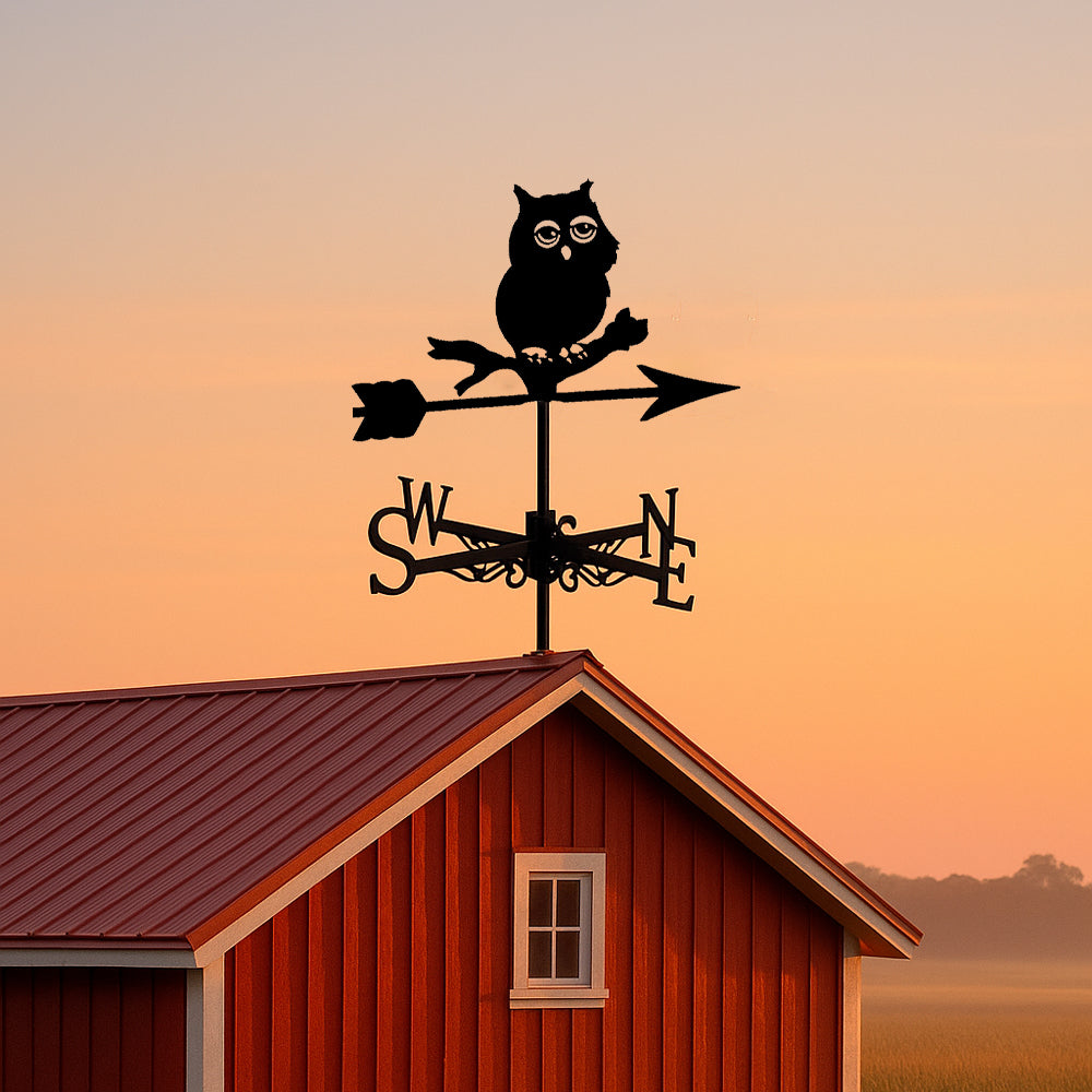 Cute owl on branch metal weather vane with directional arrows and mounting rod, outdoor roof and garden decoration