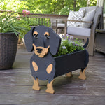 Dachshund dog planter filled with fresh flowers is placed in the garden