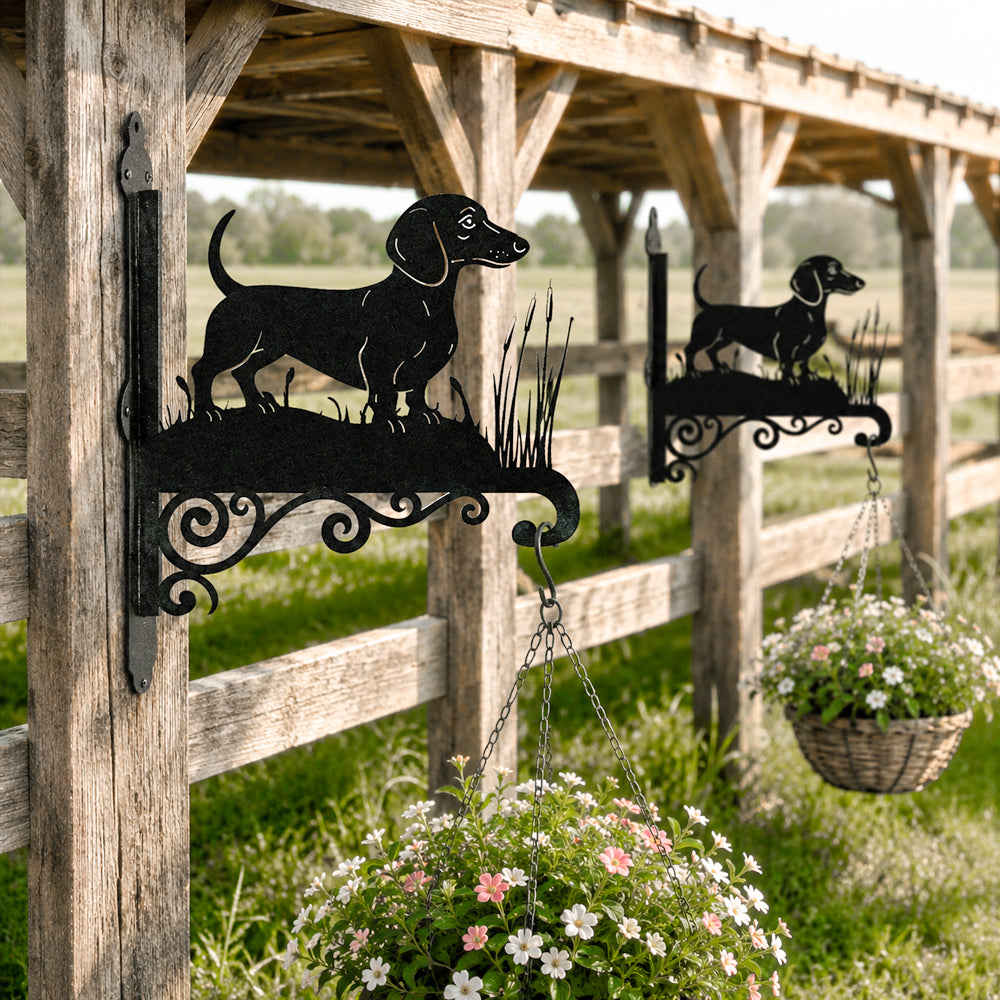 Dachshund metal hanging basket bracket mounted on outdoor wall for plant decoration