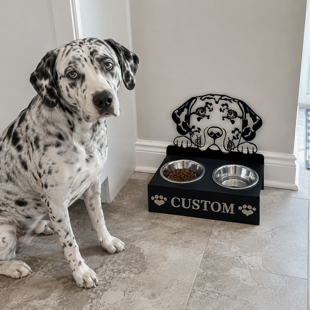 Personalized dalmatian metal dog bowl stand with custom name cutout and two removable feeding bowls