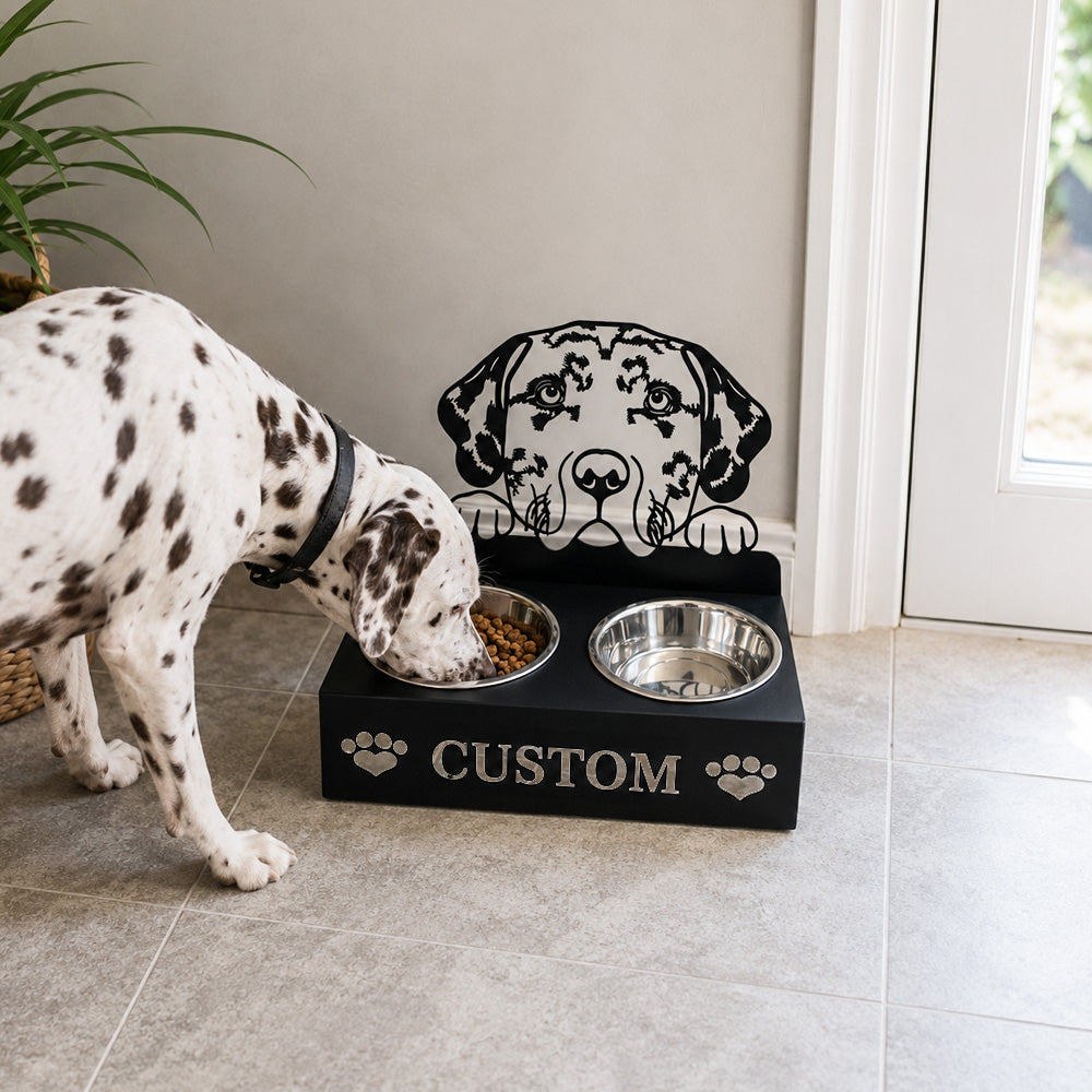 Personalized dalmatian metal dog bowl stand with custom name cutout and two removable feeding bowls