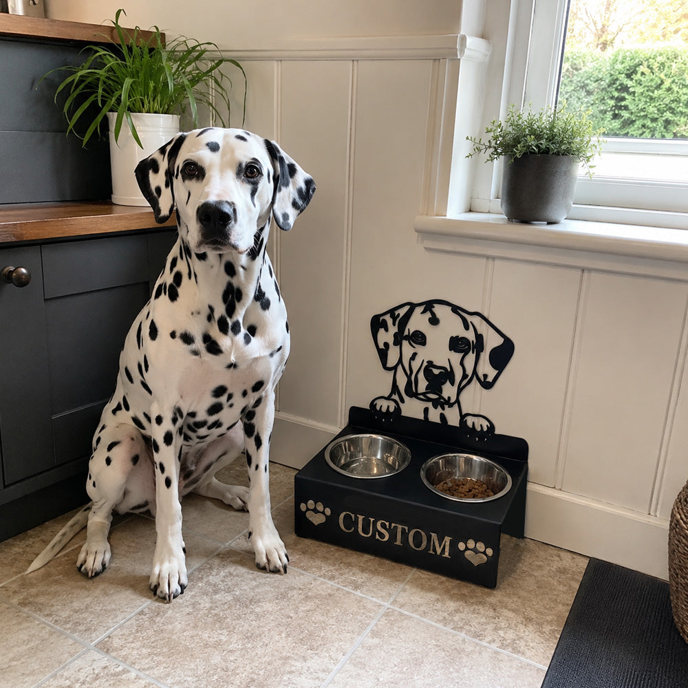 Personalized dalmatian metal dog bowl stand with custom name cutout and two removable feeding bowls