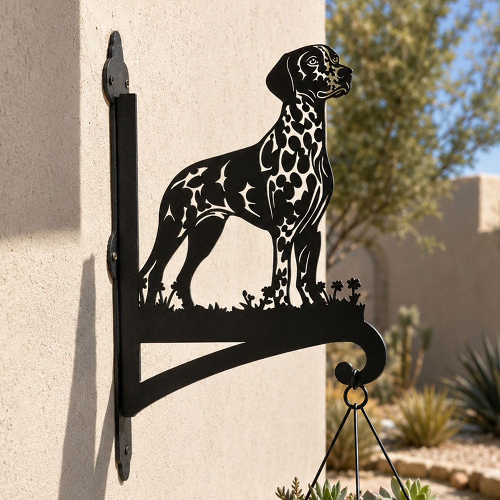 Dalmatian metal hanging basket bracket mounted on outdoor wall for plant decoration