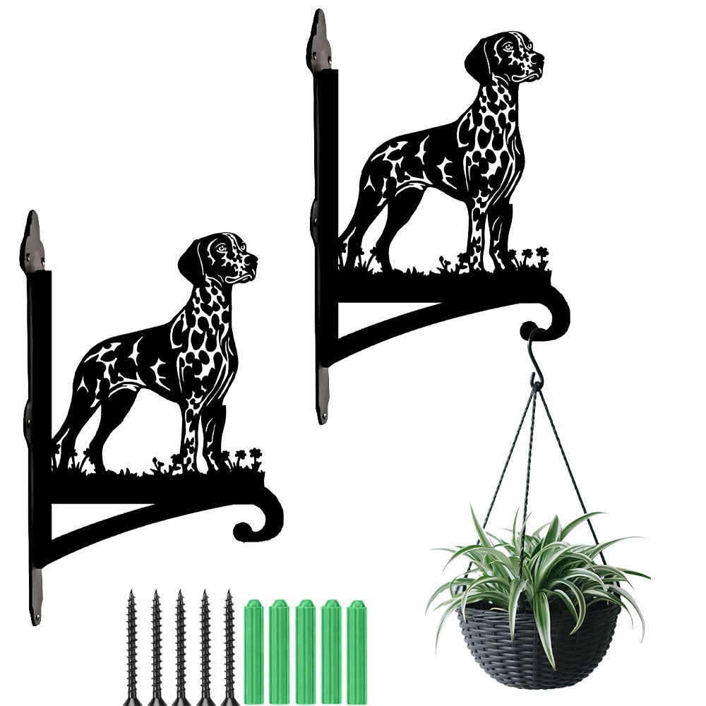 Dalmatian metal hanging basket bracket mounted on outdoor wall for plant decoration