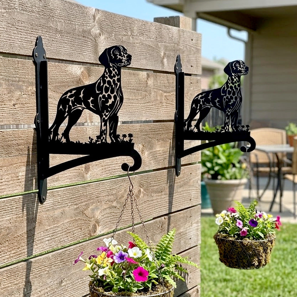 Dalmatian metal hanging basket bracket mounted on outdoor wall for plant decoration