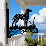Dalmatian metal hanging basket bracket mounted on outdoor wall for plant decoration