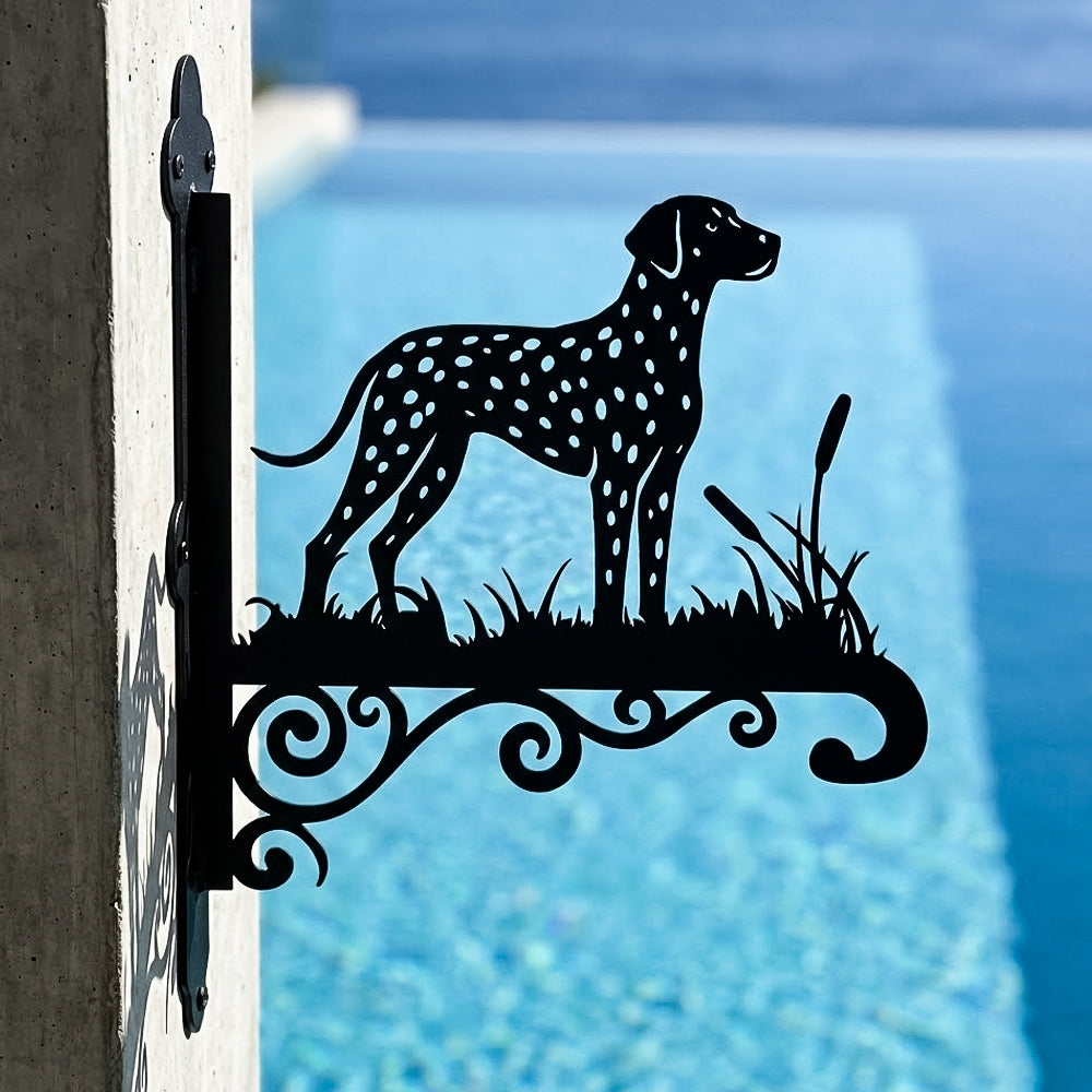 Dalmatian metal hanging basket bracket mounted on outdoor wall for plant decoration