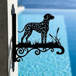 Dalmatian metal hanging basket bracket mounted on outdoor wall for plant decoration