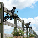 Dalmatian metal hanging basket bracket mounted on outdoor wall for plant decoration